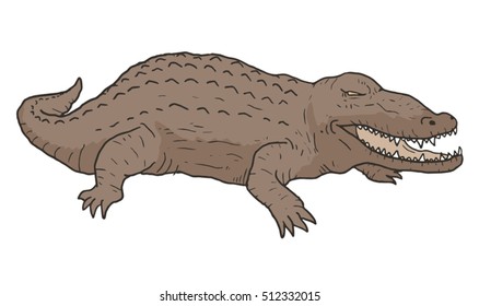 crocodile illustration