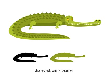 Crocodile isolated. Good caiman. Wild animal. Green reptile with big teeth. Alligator isolated. Large water reptiles. Huge African predator. tropical beast