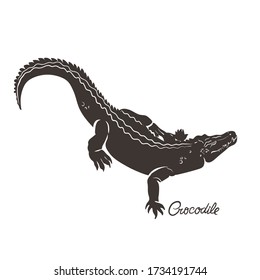 Crocodile isolated on a white background. Vector graphics.
