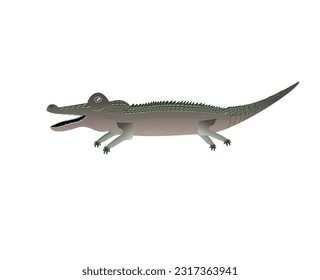 Crocodile isolated on white background, vector illustration