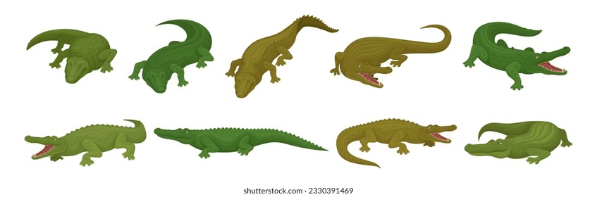 Cocodrilo como gran reptil semiacuático verde en un conjunto de vectores de presión diferente