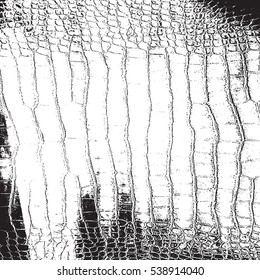 Crocodile leather distress overlay texture. Reptile creative grunge backround. EPS10 vector.