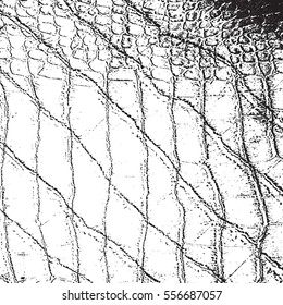 Crocodile leather skin distress overlay texture. Reptile creative grunge backround. EPS10 vector.