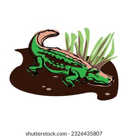 Crocodile lies and watches on a white background in EPS10