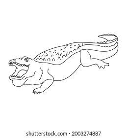 Crocodile Line Drawing Clip Art Stock Vector (Royalty Free) 2003274887 ...