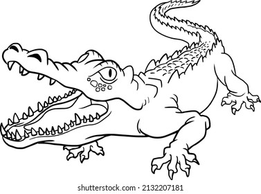 Crocodile Line Vector Illustration Isolated On Stock Vector (Royalty ...