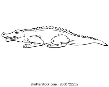 Crocodile Line Vector Illustrationisolated On White Stock Vector ...