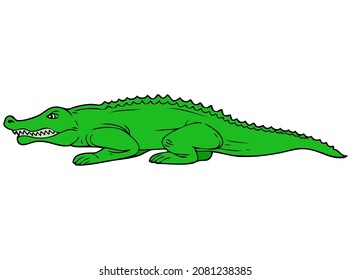 crocodile line vector illustration,isolated on white background,top view