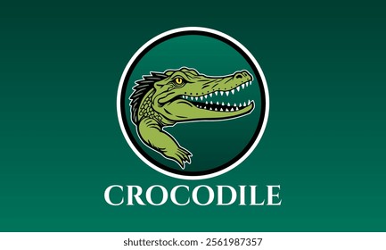 crocodile logo, crocodile design, alligator illustration, alligator logo, graphic, modern, predator, wildlife,