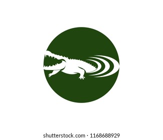 Crocodile logo design vector illustration