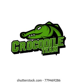 Crocodile Logo Vector