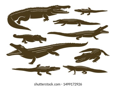 Crocodile Logo Vector. Alligator emblem template Illustration