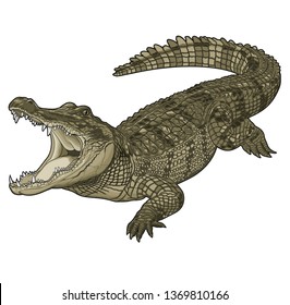 crocodile with mouth open