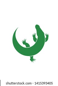 Crocodile on a white background