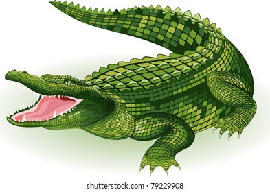 Crocodile Sur Fond Blanc Image Vectorielle De Stock Libre De Droits