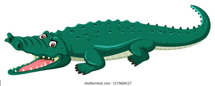 A crocodile on white background illustration