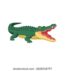 Crocodile with open jaws on plain white background.
