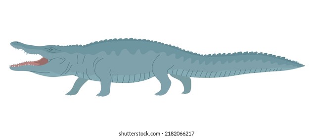 Crocodile with open mouth. Aquatic carnivorous reptile. Toothy alligator and caiman. Predator hunter of Africa. Big animal of wild nature. Flat vector illustration isolated on white background