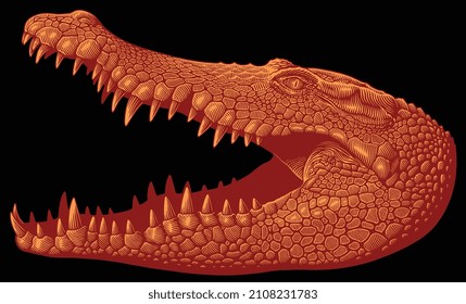 Crocodile with open mouth. Editable hand drawn illustration. Vector vintage engraving. 8 EPS