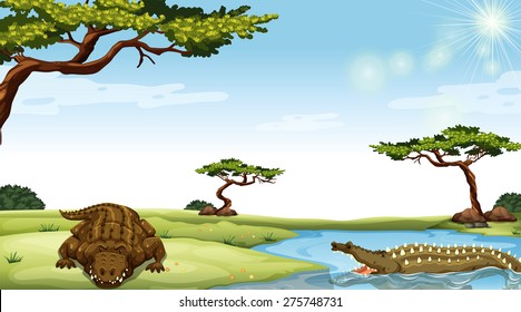 Crocodile in an open nature