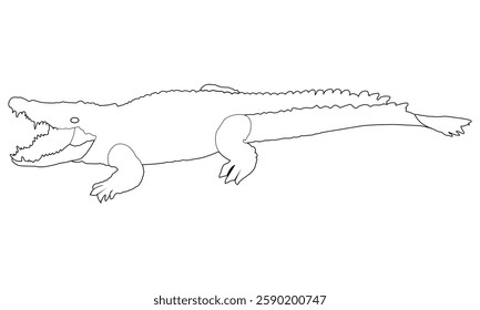 crocodile outline silhouette vector illustration black and white