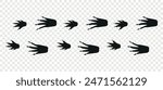 Crocodile paws. Footpath trail of animals. Paw foot trail print of crocodile on white background. Vector animal steps in black color.