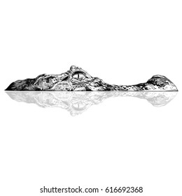 crocodile peeking out of the water and visible part of the muzzle and reflection on , sketch vector graphics black and white drawing