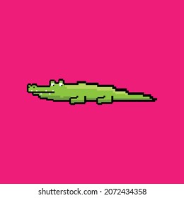 the crocodile pixel with magenta background