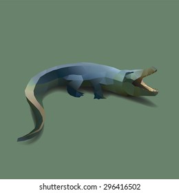 crocodile, polygon illustration with realistic shadow on dark green background