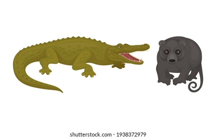 Crocodile and Possum als Australian Animals Vector Set