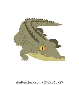 Crocodile Reptile Animal Cartoon Style Illustration