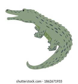 Crocodile rises isolated on white background. Funny cartoon character wildlife in doodle vector illustration.