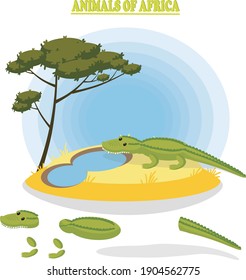 Crocodile in the savannah location. Crocodile, vector illustration for animation of cartoons or games. Educational cartoon for children.