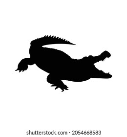 Crocodile Silhouette on isolated background. Vector drawing
