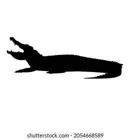 Crocodile Silhouette on isolated background. Vector drawing
