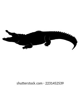 crocodile silhouette on white background