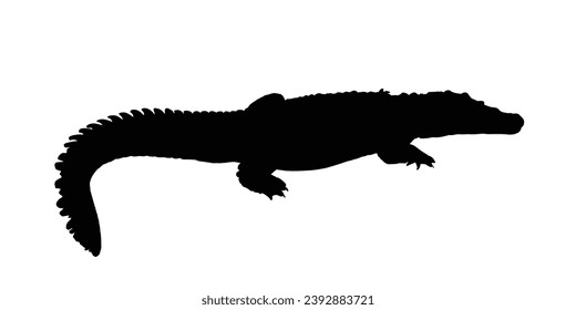 Crocodile Silhouette. Crocodile Vector Illustration.