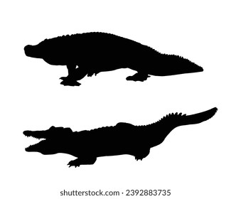 Crocodile Silhouette. Crocodile Vector Illustration.