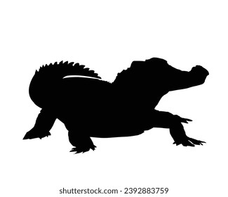 Crocodile Silhouette. Crocodile Vector Illustration.