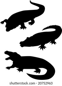 Crocodile silhouettes