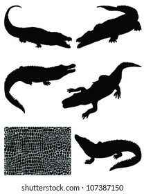 Crocodile silhouettes and skin-vector