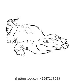 Crocodile sketch. Aligator. Vector hand drawn illustration