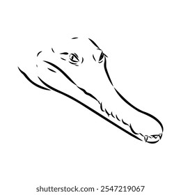 Crocodile sketch. Aligator. Vector hand drawn illustration