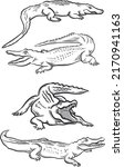 Crocodile sketch drawing with lines and shading