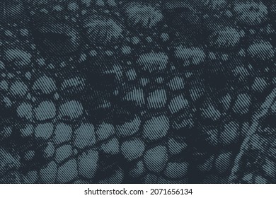 Crocodile Skin Engraved in woodcut style . vector illustration.