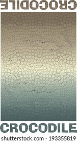Crocodile skin texture