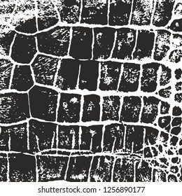 Crocodile skin. Vector texture. Imprint. Black and white background