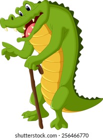 Crocodile standing while holding a stick