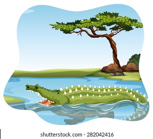 Crocodile swimming in the river