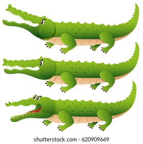 Crocodile in three different actions illustration